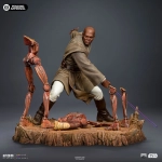 Mace Windu Star Wars Art Scale 1/10