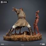 Mace Windu Star Wars Art Scale 1/10