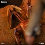 Mace Windu Star Wars Art Scale 1/10