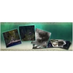 Destinies: Witchwood All That Glitters - Expansion