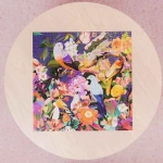 Art & Soul - Birds