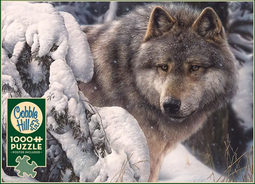 Master of the North - Denis Mayer