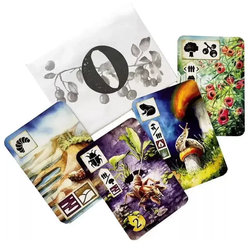 Meadow - Promo Envelope O - EN