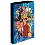 One Piece (Luffy'S Crew) 30X40Cm Light-Up Canvas