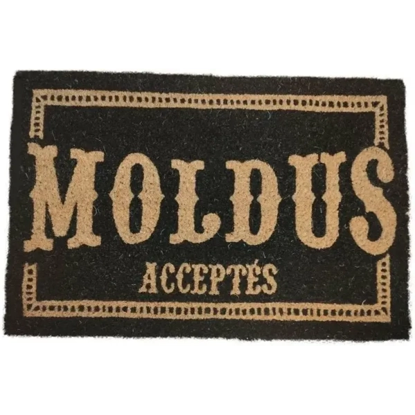 Moldus Acceptes French Doormat 60X40 Harry Potter