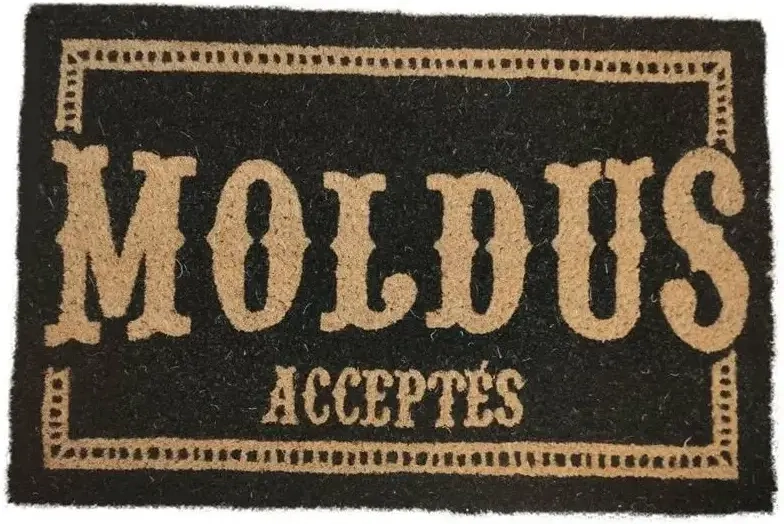 Moldus Acceptes French Doormat 60X40 Harry Potter