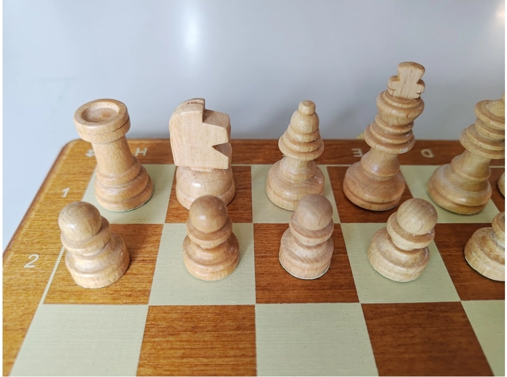 Reiseschach Bedruckt - 26.5cm (B-Qualität)