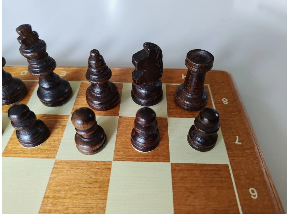 Reiseschach Bedruckt - 26.5cm (B-Qualität)