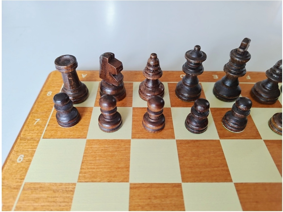 Reiseschach Bedruckt - 26.5cm (B-Qualität)