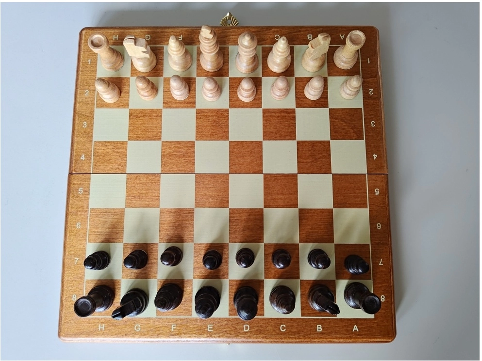 Reiseschach Bedruckt - 26.5cm (B-Qualität)