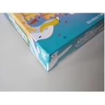 Die Sandburgen von Burgund (Leicht defekete Verpackung)