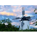 Windmühle bei Retz - Österreich