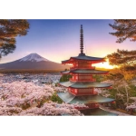 Kirschblüte in Japan