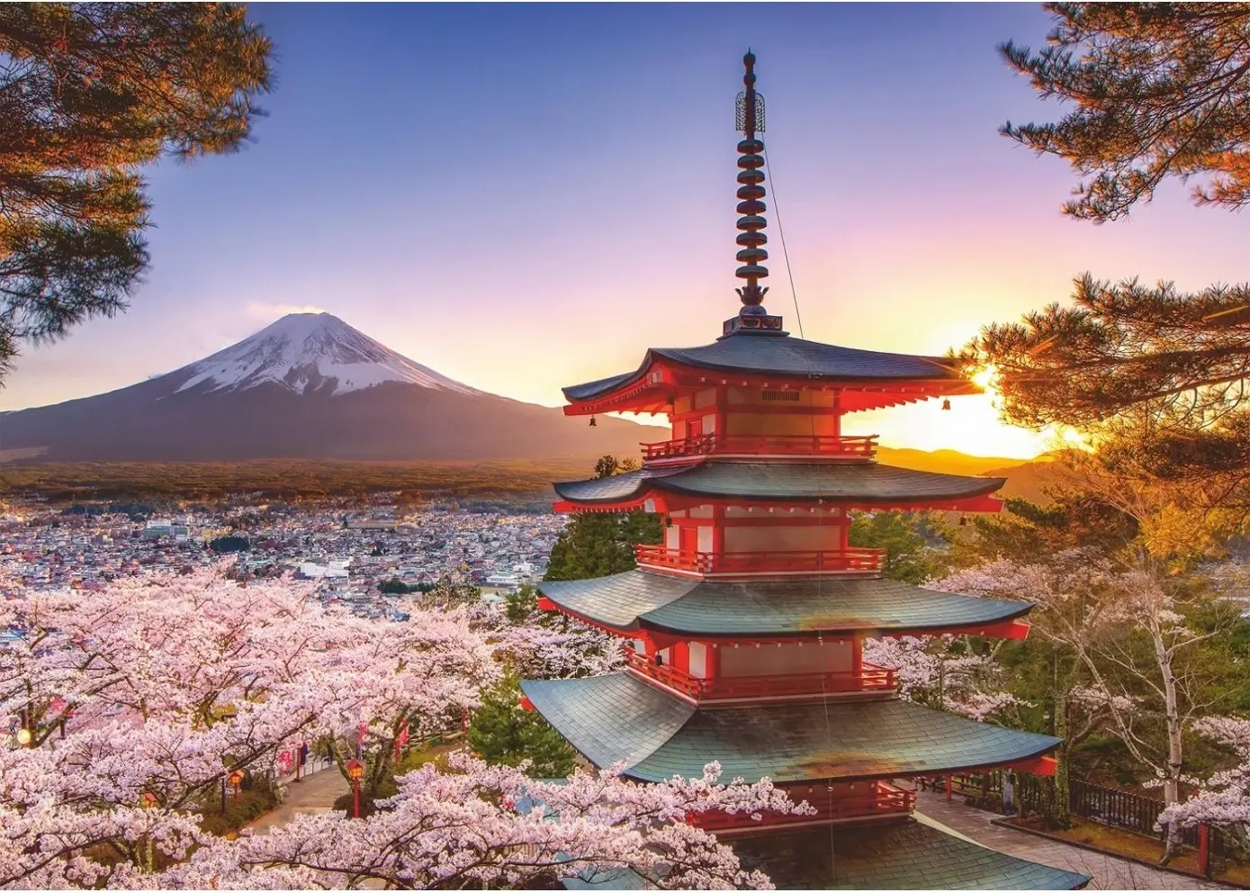 Kirschblüte in Japan