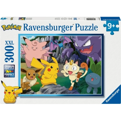 Fang die Pokémon!