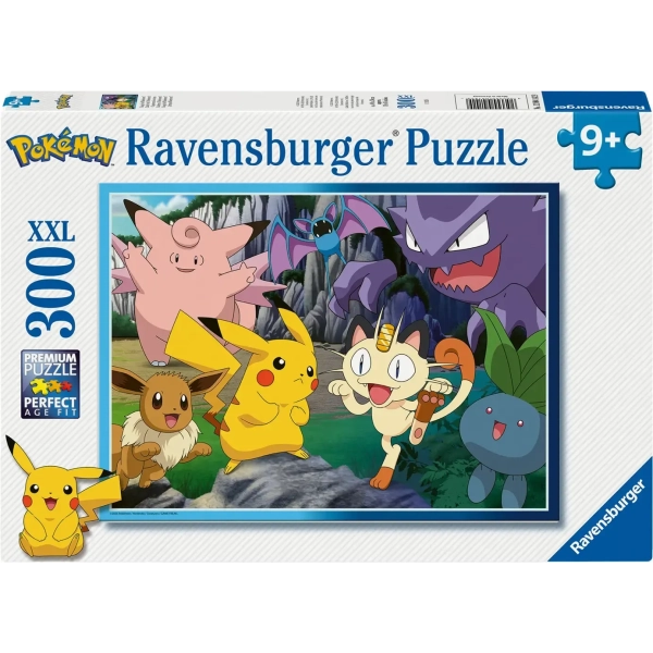 Fang die Pokémon!