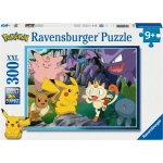 Fang die Pokémon!