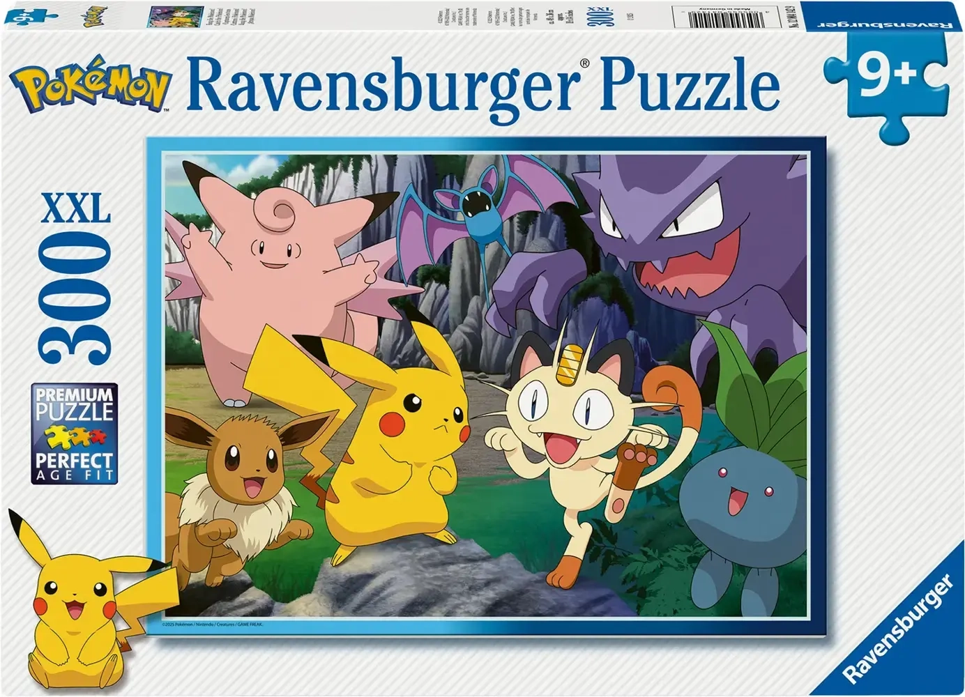 Fang die Pokémon!