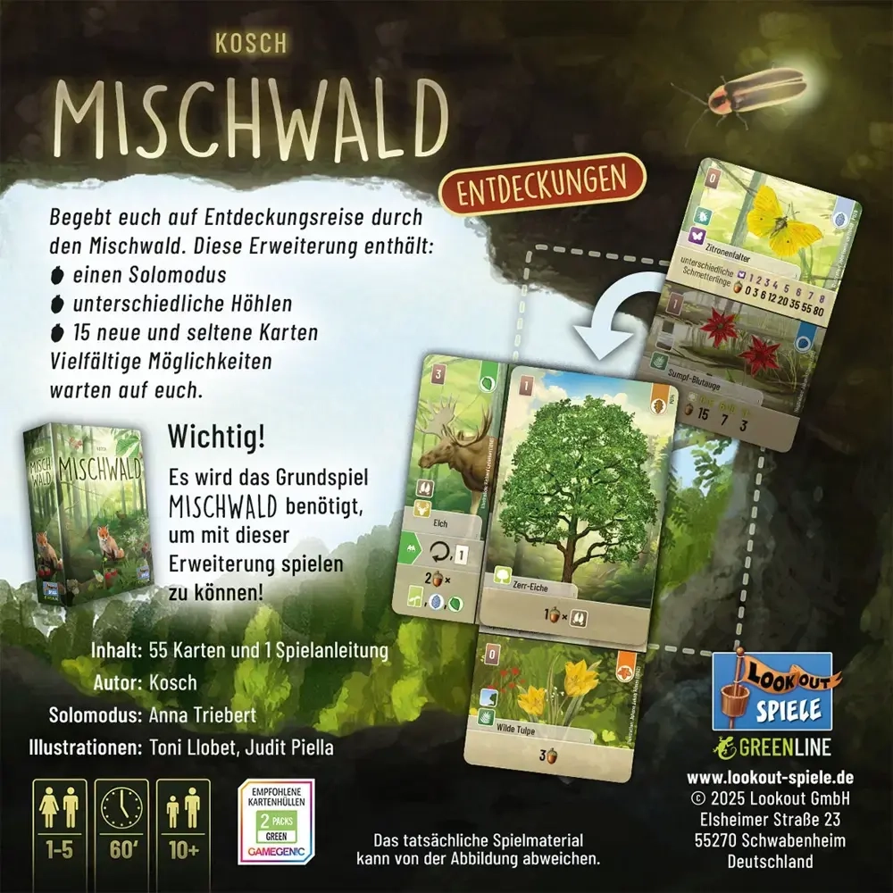 Mischwald - Entdeckungen - DE