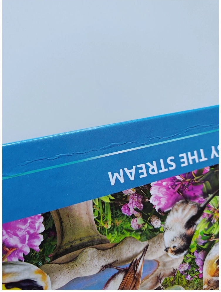 Birdsong (Defekte Verpackung)