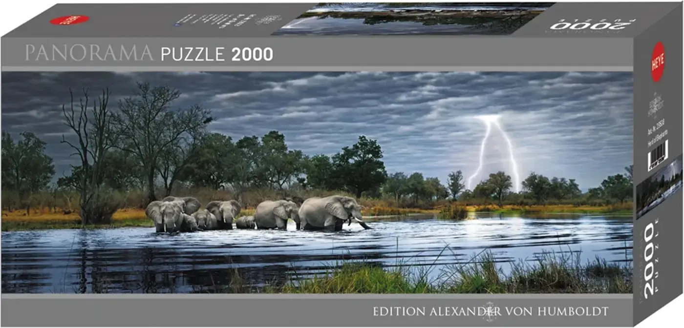 Herd of Elephants - Okavango Delta Botswana