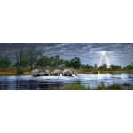Herd of Elephants - Okavango Delta Botswana