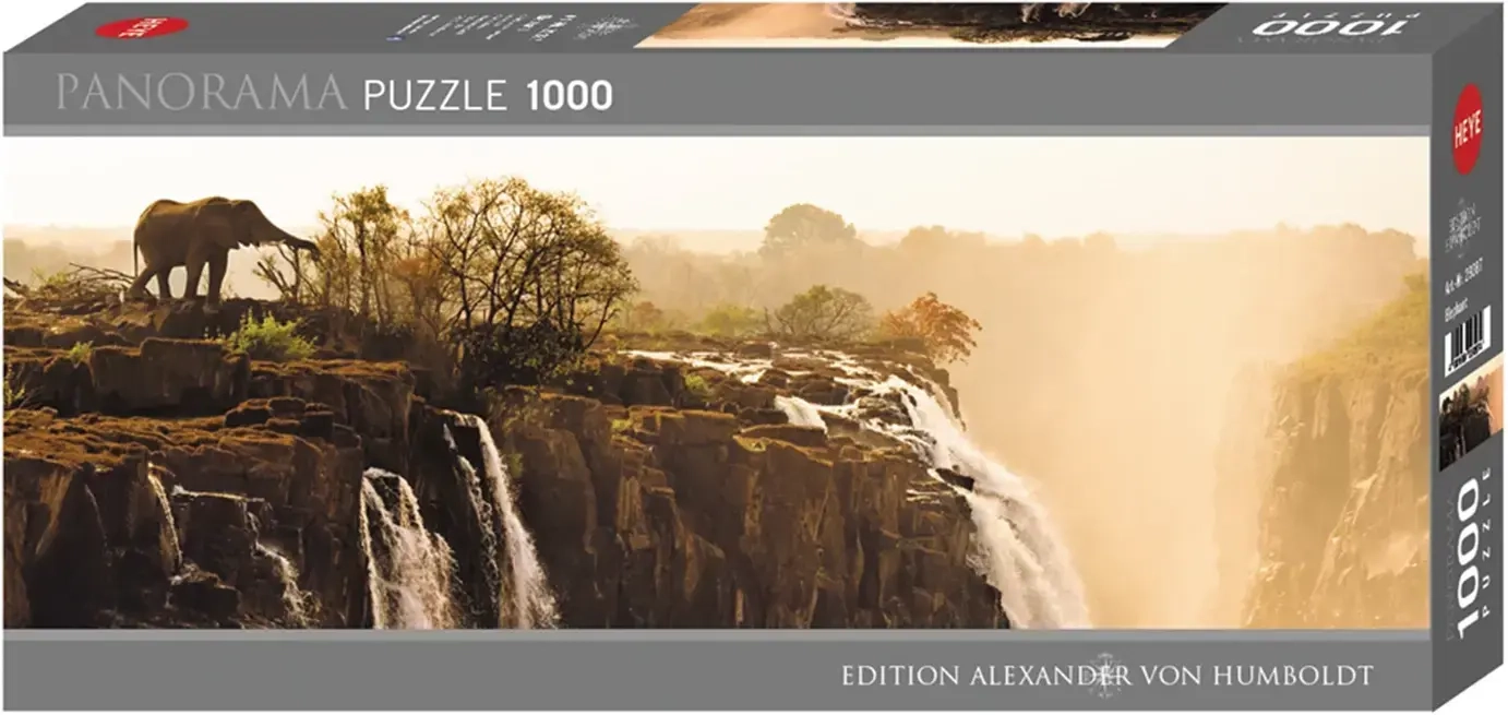 Elephant - Victoria Falls Zambia