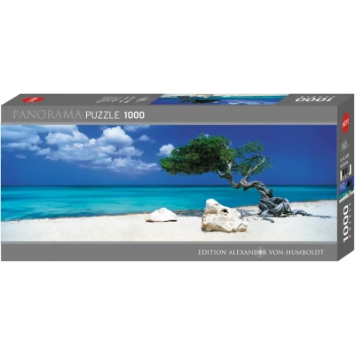 Divi Divi Tree - Aruba Netherlands Antilles