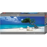 Divi Divi Tree - Aruba Netherlands Antilles