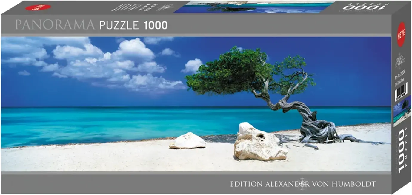 Divi Divi Tree - Aruba Netherlands Antilles