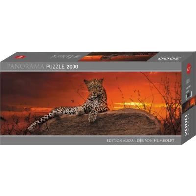 Red Dawn - Samburu National Reserve Kenya