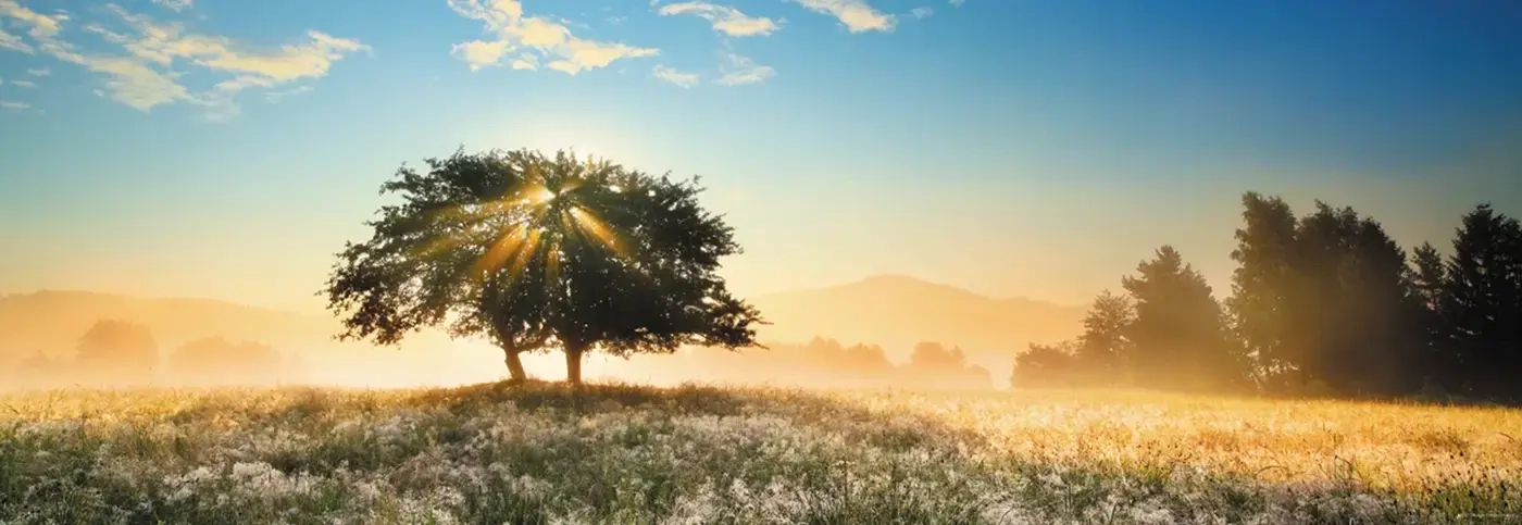 Play of Light