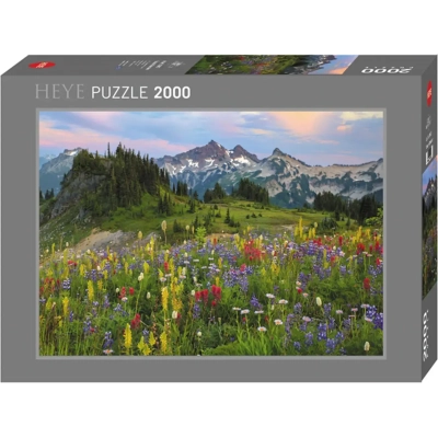 Tatoosh Mountains