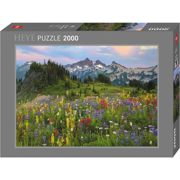 Tatoosh Mountains