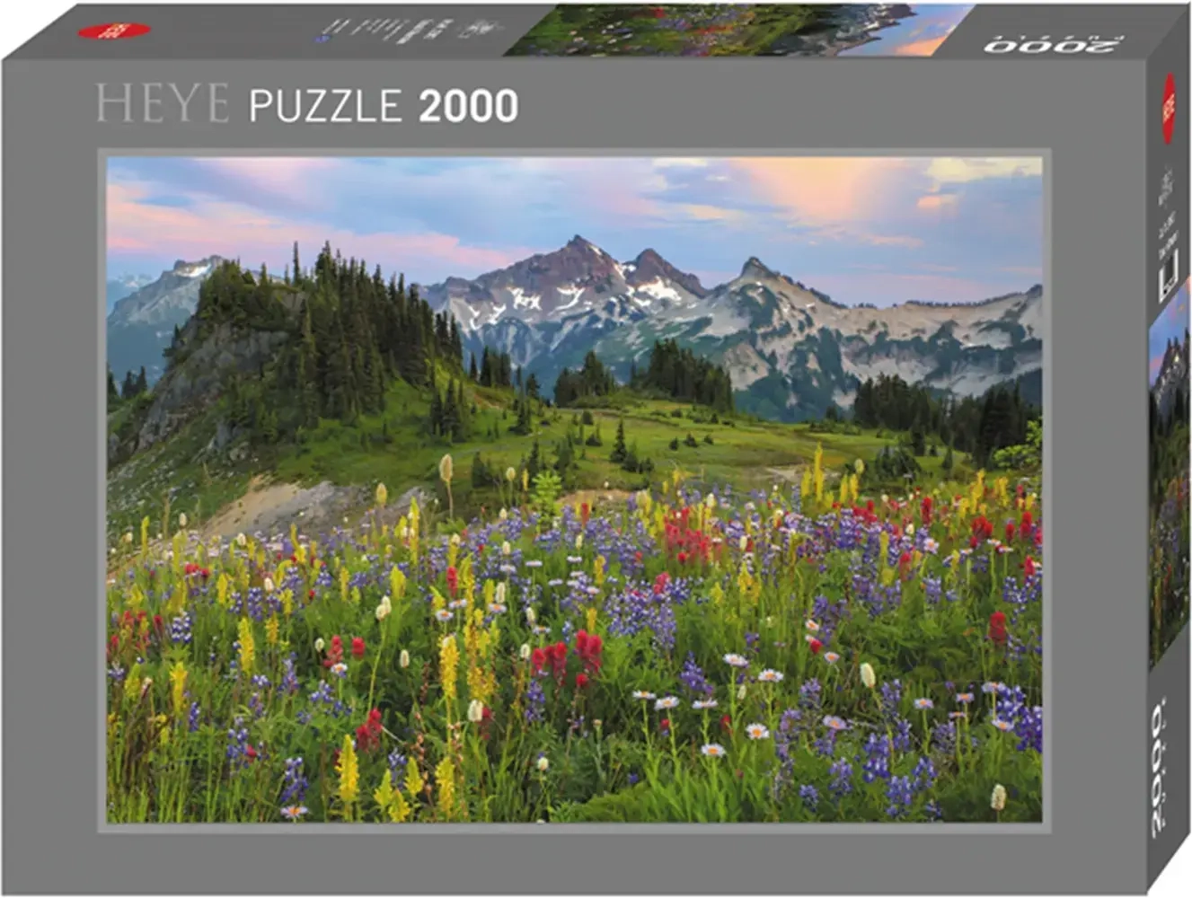 Tatoosh Mountains