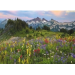 Tatoosh Mountains