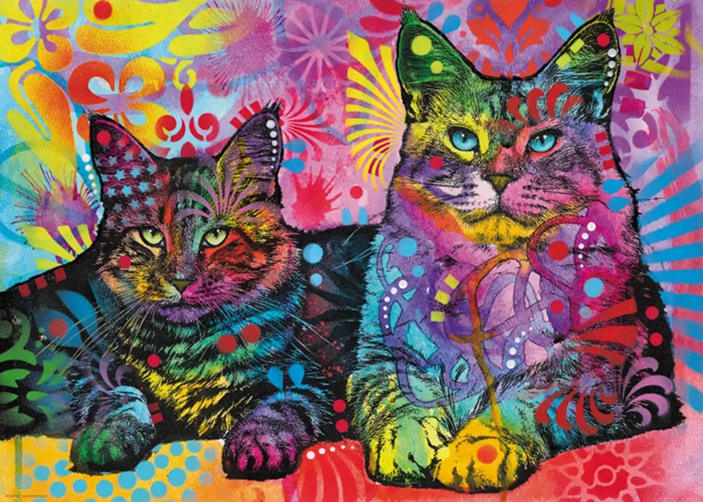 Magisch fesselnder Blick der Katzen