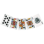 Pokerchips - Aluminiumkoffer