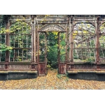 Bewachsene Bogenfenster - Aurelien Villette