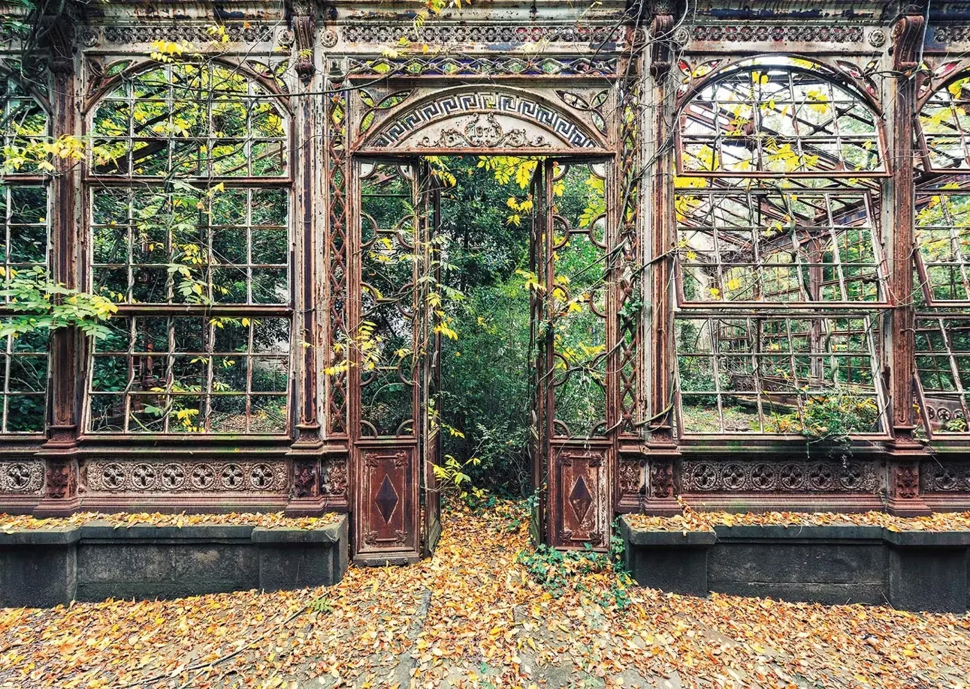 Bewachsene Bogenfenster - Aurelien Villette
