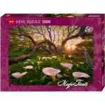 Calla Clearing - Magic Forests