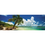Paradise Palms - Bahia Honda State Park USA