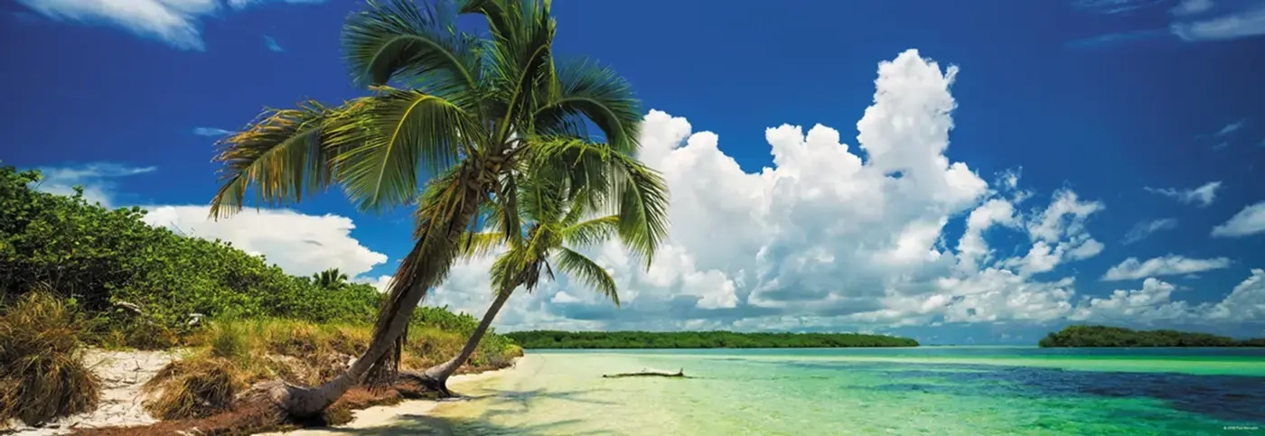 Paradise Palms - Bahia Honda State Park USA