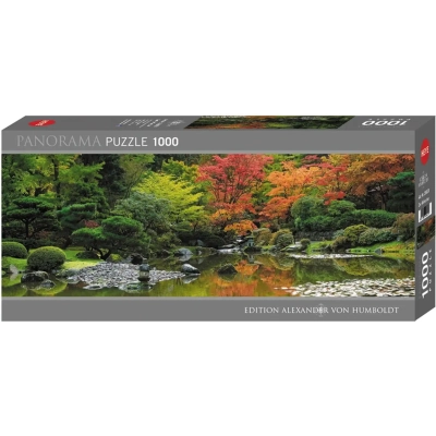 Zen Reflection