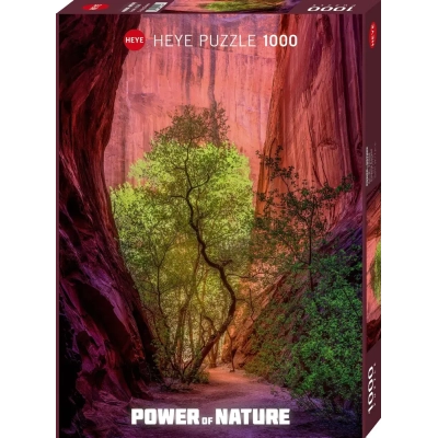 Signing Canyon - Power of Nature