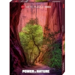 Signing Canyon - Power of Nature
