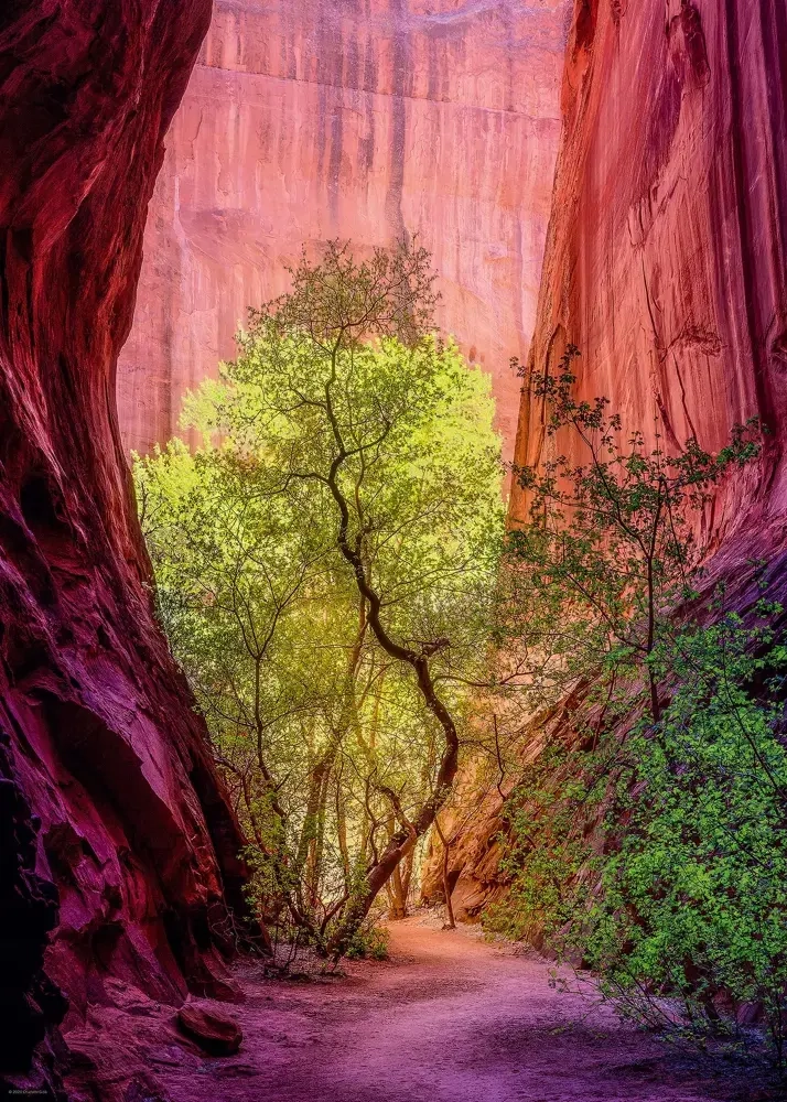 Signing Canyon - Power of Nature