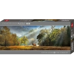 Morning Salute Panorama