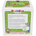BrainBox - Weltreise