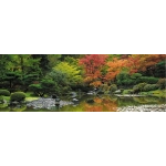 Zen Reflection